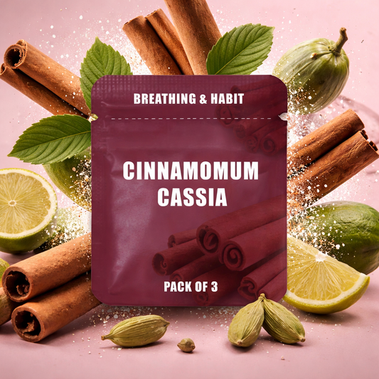 URBAN MIST™ CINNAMOMUM CORE REFILLS