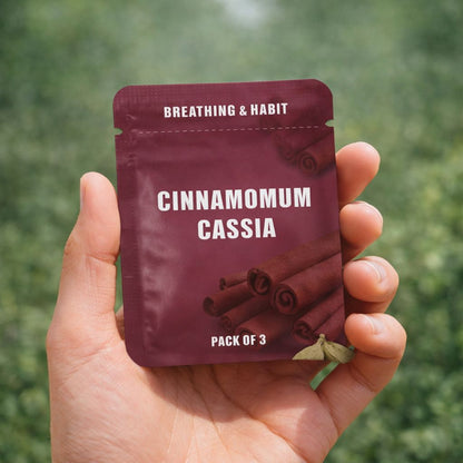URBAN MIST™ CINNAMOMUM CORE REFILLS